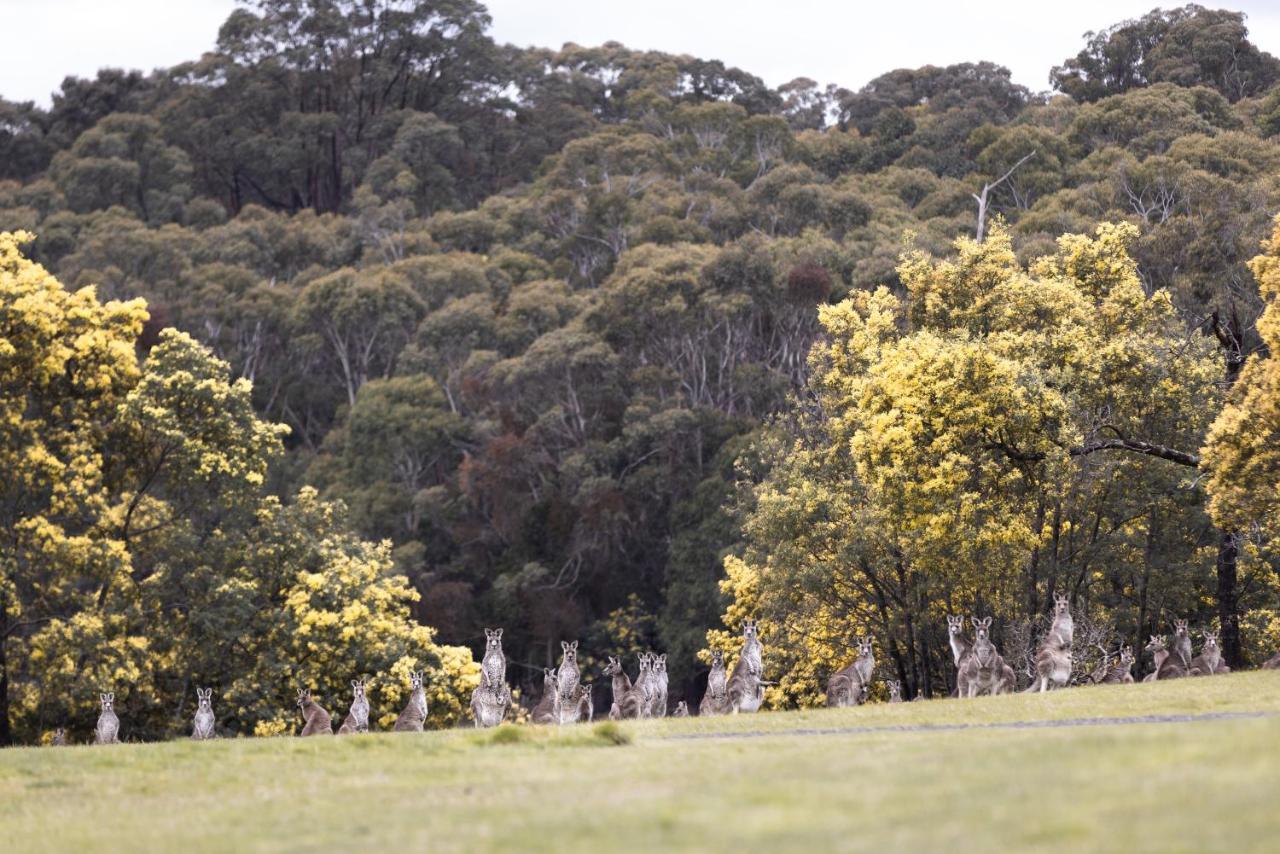 Hanging Rock Views Woodend Extérieur photo