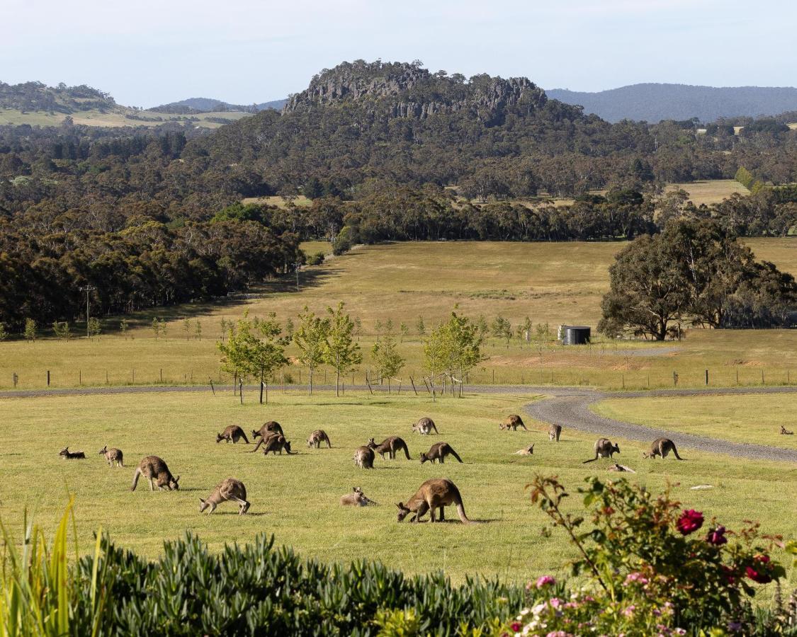Hanging Rock Views Woodend Extérieur photo
